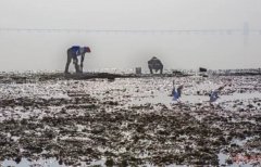 厲害了wuli青島！厲害了wuli紅島??！