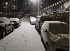 青島！大雪！大愛！