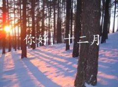 抓住2016年的尾巴給自己充充電！12月，加油！