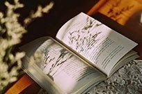 2019網(wǎng)絡流行語盤點